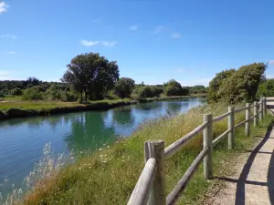 Olonne-sur-Mer - Canal des Loirs