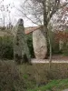 Olonne-sur-Mer - Raised stones