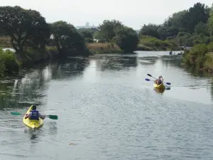 Canoa nelle paludi