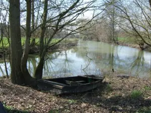 Vieille barque sur la Boire