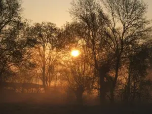 Lever de soleil sur la Boire