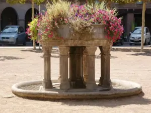 Fontaine de la place aux arcades