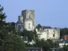 Castello di Loches - Monumento a Loches