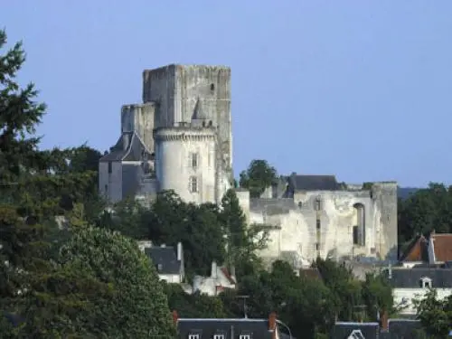 Loches - Donjon