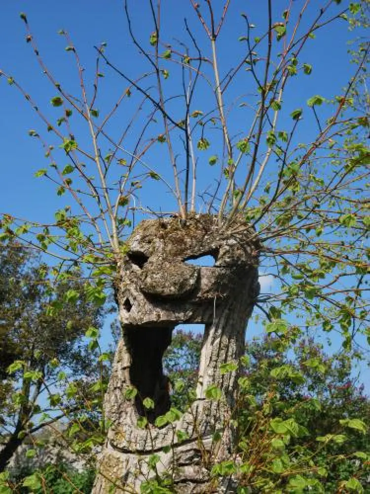 Loireauxence - Tree in Parco Mabiterie