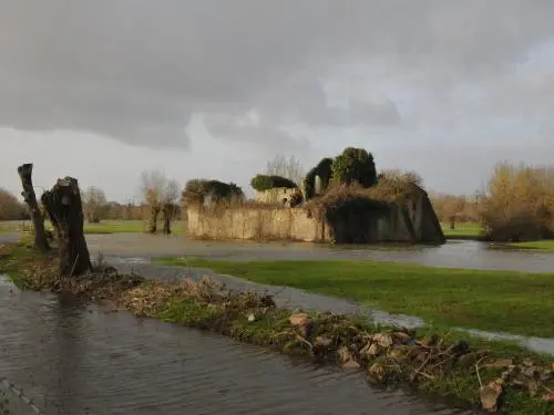 Loireauxence - Farm Pavilion di inondazioni