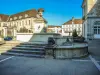 Fontaine aux lions, place de l'hôtel de ville (© J.E)