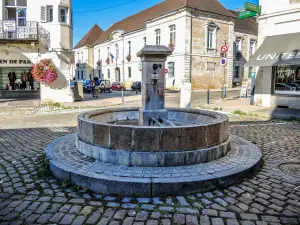 Fountain of Salins (© J.E)