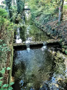 Ruisseau de la Vallière (© J.E)
