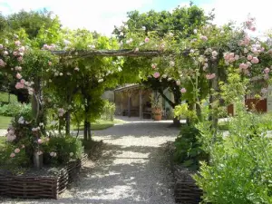 Garden of medieval inspiration in June