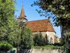 Telhado da igreja de Saint-Pierre (© JE)