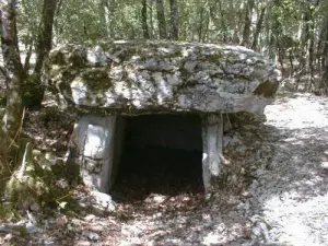 The dolmen of Mas Rastouillet