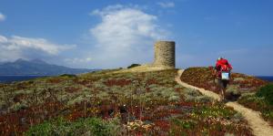 La revanche des chefs corses L'Express Styles