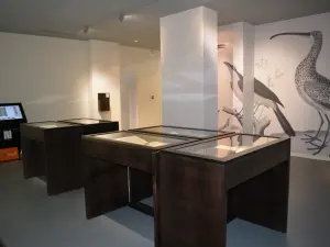 Salle des oiseaux