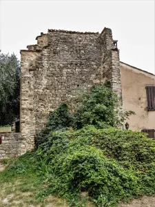 Zuidtoren, vanaf de eerste omheining van het oude kasteel (© J.E)