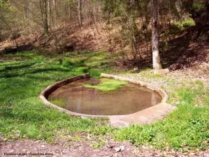 Fontaine Leclerc