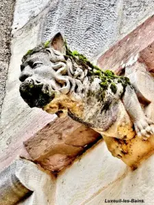 Gargoyle, casa dei Bailli (© Jean Espirat)