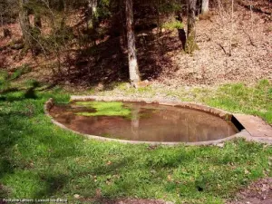 Fontaine Leclerc