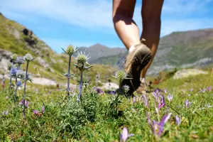 Hermosas caminatas en el Parque Nacional de los Pirineos (© OT Luz)