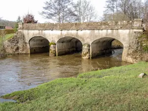 Pont sur la Luzine, rue de la Grande Goutte (© JE)