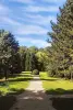 Lyons-la-Forêt, lione arboreto