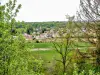 Magny-Vernois, vom Belvedere des Hügels von Vouhenans aus gesehen (© J.E)