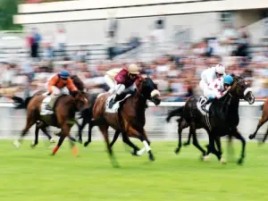 Racecourse Maisons-Laffitte