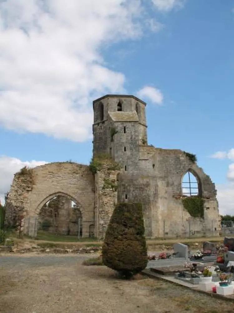 Marans - Ruines de l'église Saint-Étienne