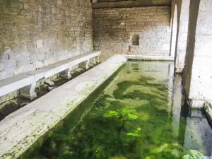 Chaudefontaine - Lavabo per fontane Saint-Guérin (© J.E)