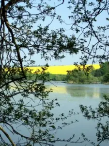 Frühling Landschaft