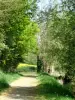 Marcillé-Robert - Sentier aménagé au bord de l'eau