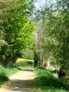 equipped trail at the edge water