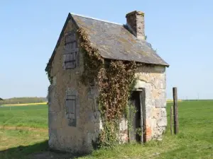 Casa del viñedo