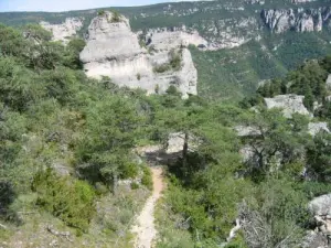 Saint-Rome-de-Dolan - Chemin de randonnée