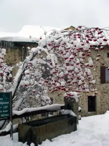 The village in winter