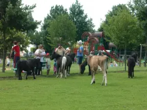 De boerderij dierentuin voor het hele gezin