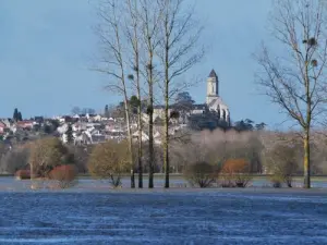 Saint-Florent-le-Vieil gezien vanaf de overstroomde Tau