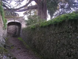 Saint-Florent-le-Vieil - Vicolo nel centro storico lle