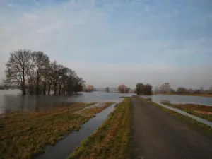 Saint-Florent-le-Vieil - El Tau inundado