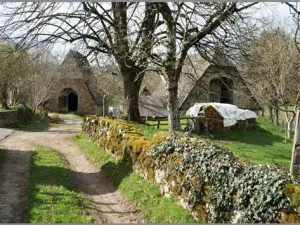 Wandern in der Nähe von Maurs