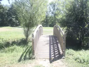 Kleine brug op het platteland van Mauritius