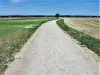 Antica strada romana Besançon -Langres (© JE)