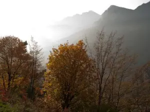 St. Bernard Pass