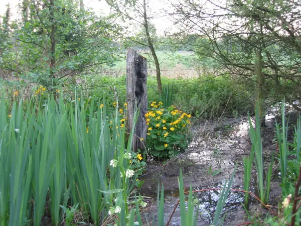 Marais de Mesnières-en-Bray - Site naturel à Mesnières-en-Bray