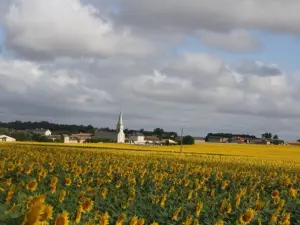 General view of Messemé