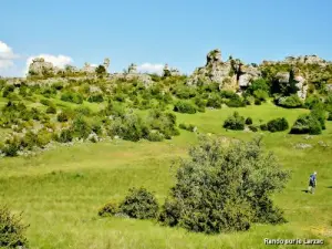 Rotsen van Larzac (© J.E)