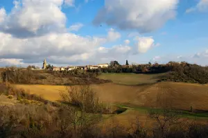 Coteaux de Mirabel