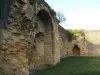 Ruins of the castle of the White Queen