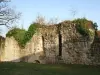 Ruins of the castle of the White Queen
