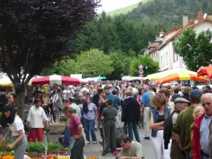 Le Floralies di Molompize